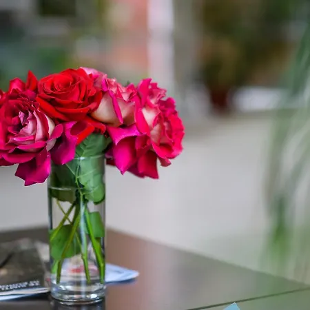 Torontal 3* تيميشورا