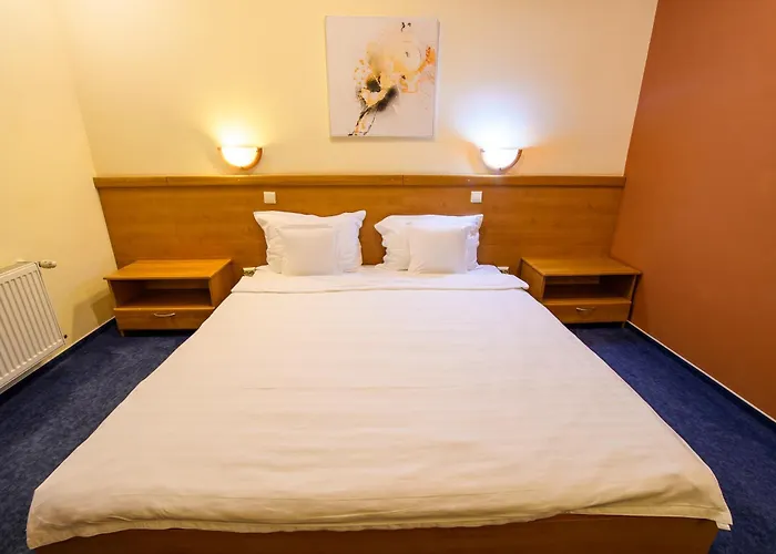 Torontal Hotel Timişoara