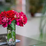 Torontal 3* Тимишоара