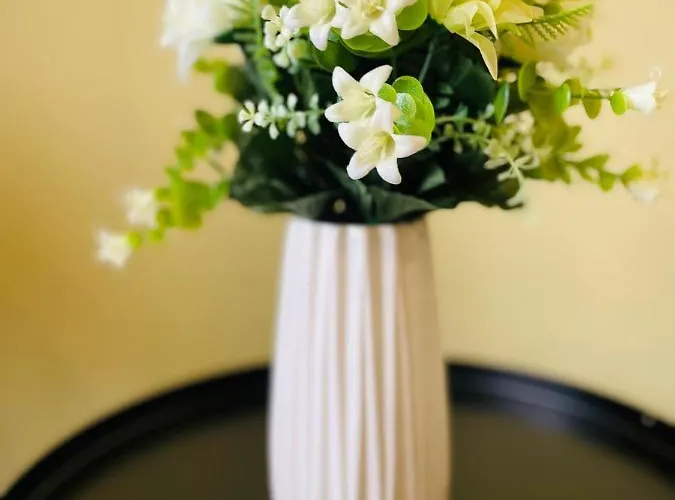 Hotel Torontal Timisoara