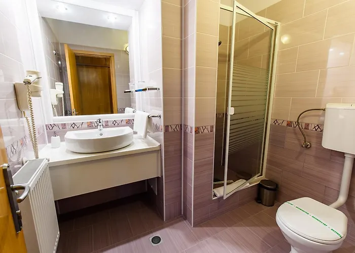 Hotel Hotel Torontal Timisoara