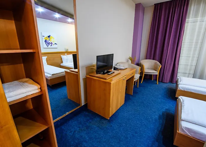Hotel Torontal 3* Timisoara