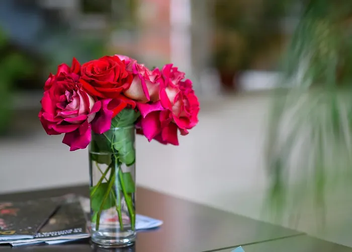 Hotel Torontal 3* Timisoara